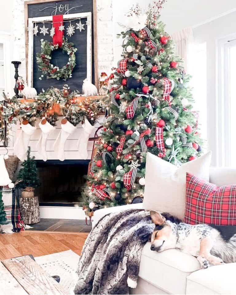 Black Red White Tree