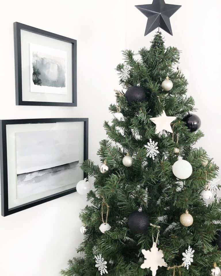 Black White Star Tree