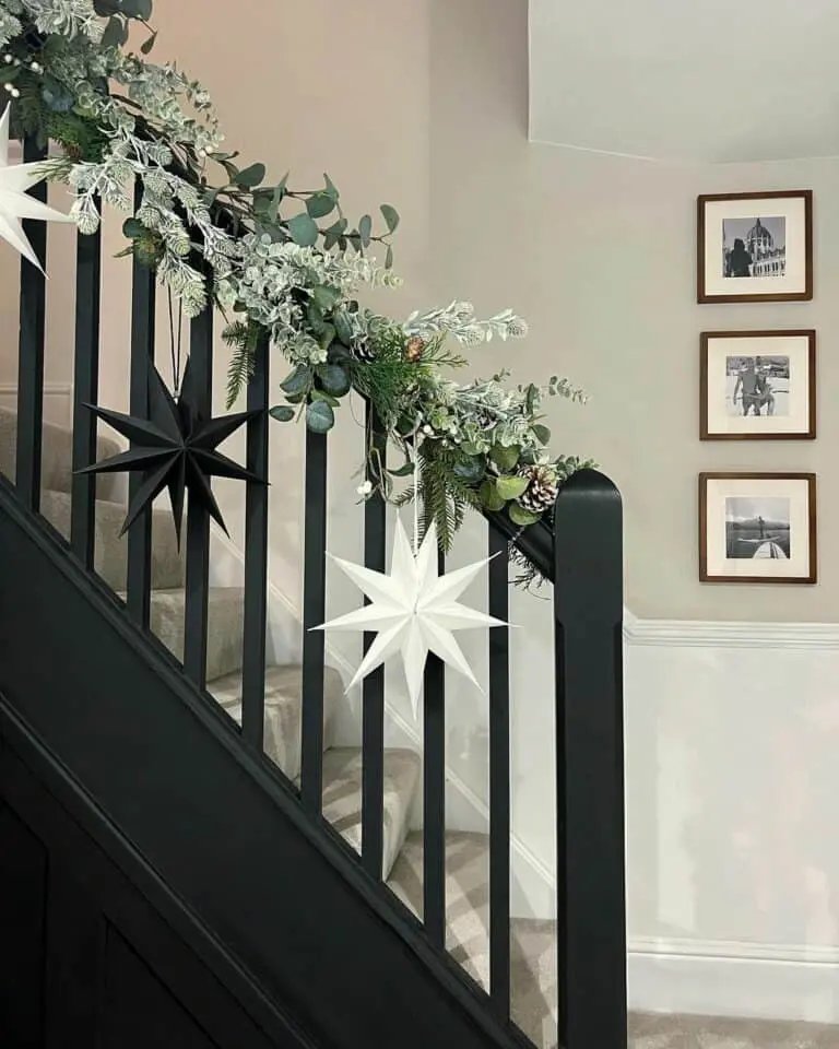 Black White Stars