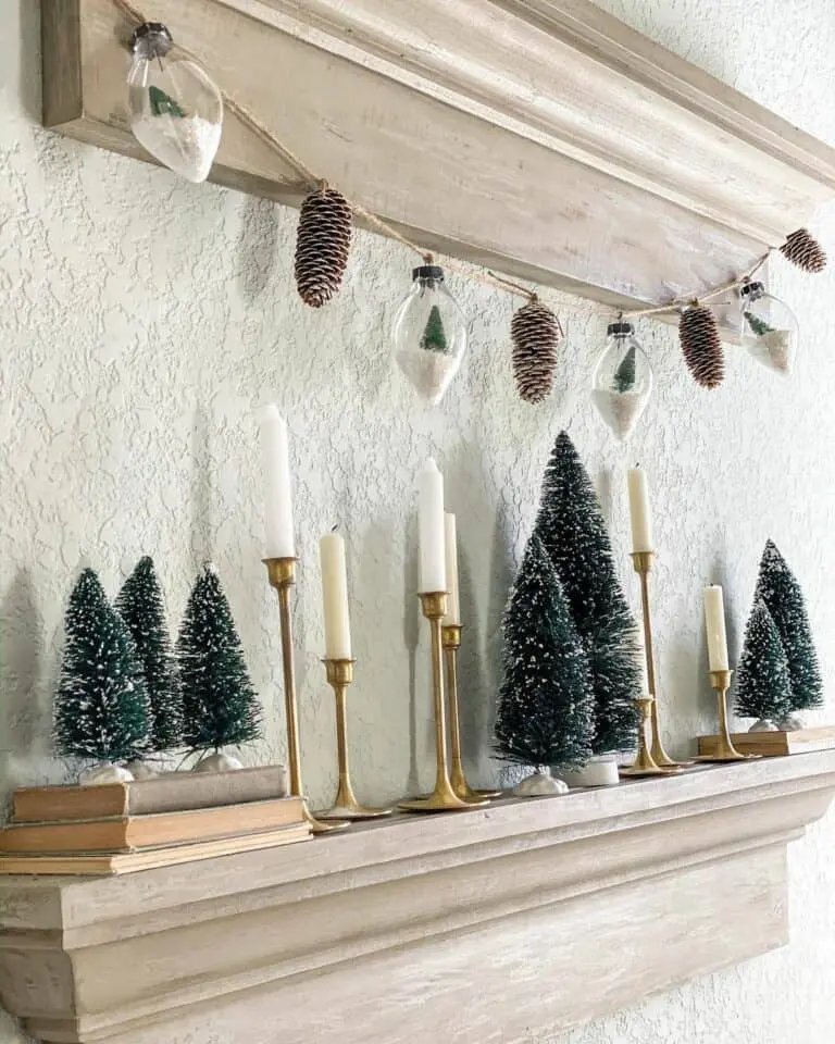 Bottle Brush Tree Display