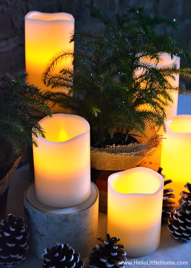 Burlap Plant Pots
