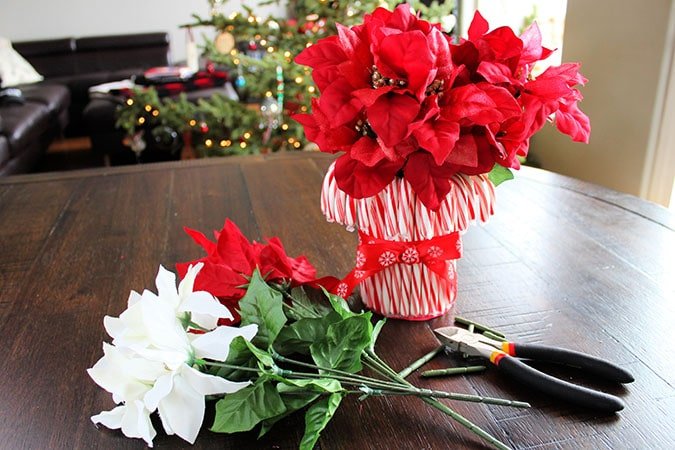 Candy Cane Vase