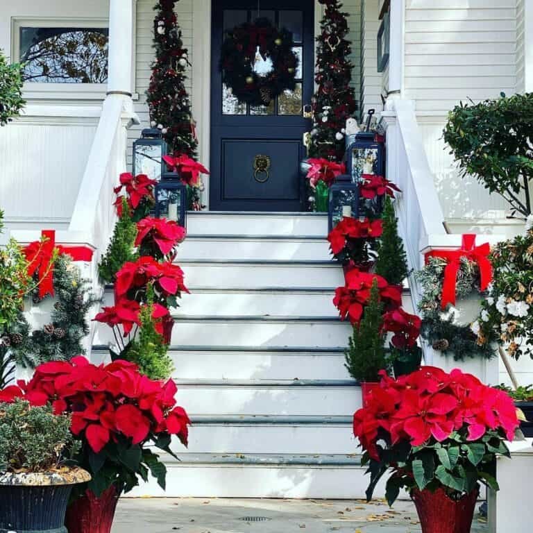 Christmas Porch Plants