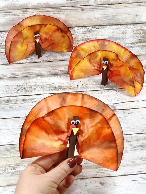 Coffee Filter Turkey
