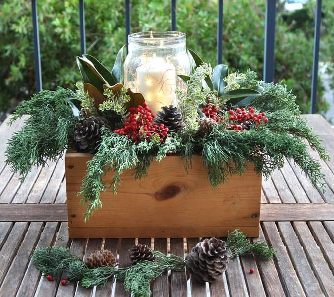 Evergreen Plant Box