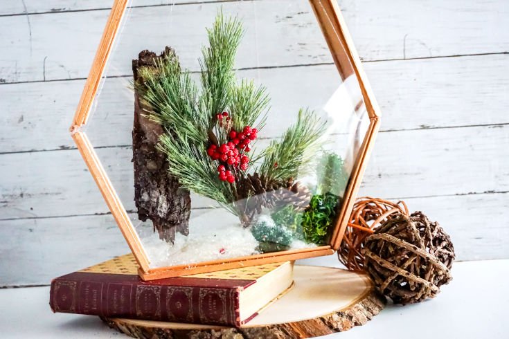 Glass Terrarium Craft