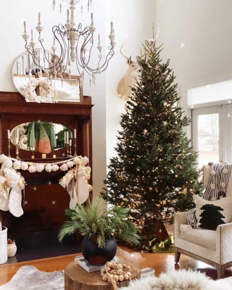 Naked Christmas Tree