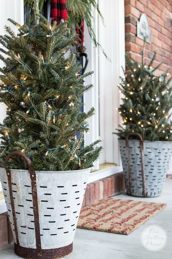 Olive Bucket Planters
