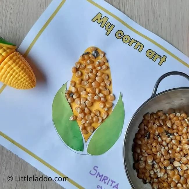 Popcorn Corn Cob