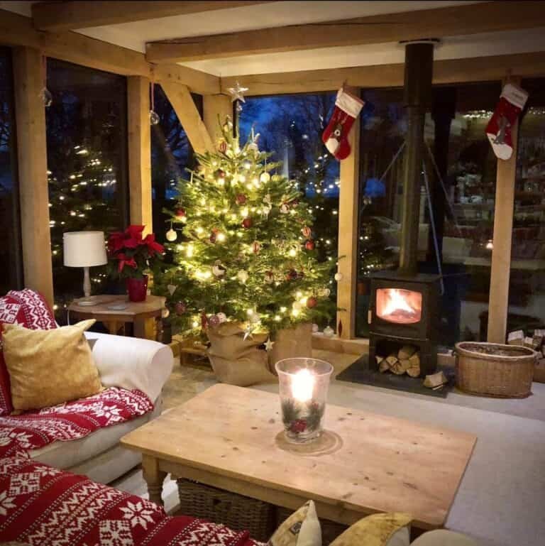 Rustic Tree Display