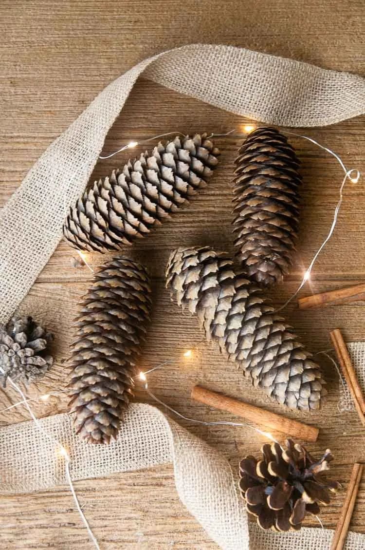 Scented Pine Cones