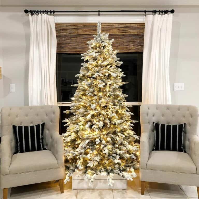 Shiplap Tree Box