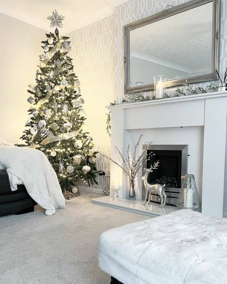 Silver Christmas Accessories