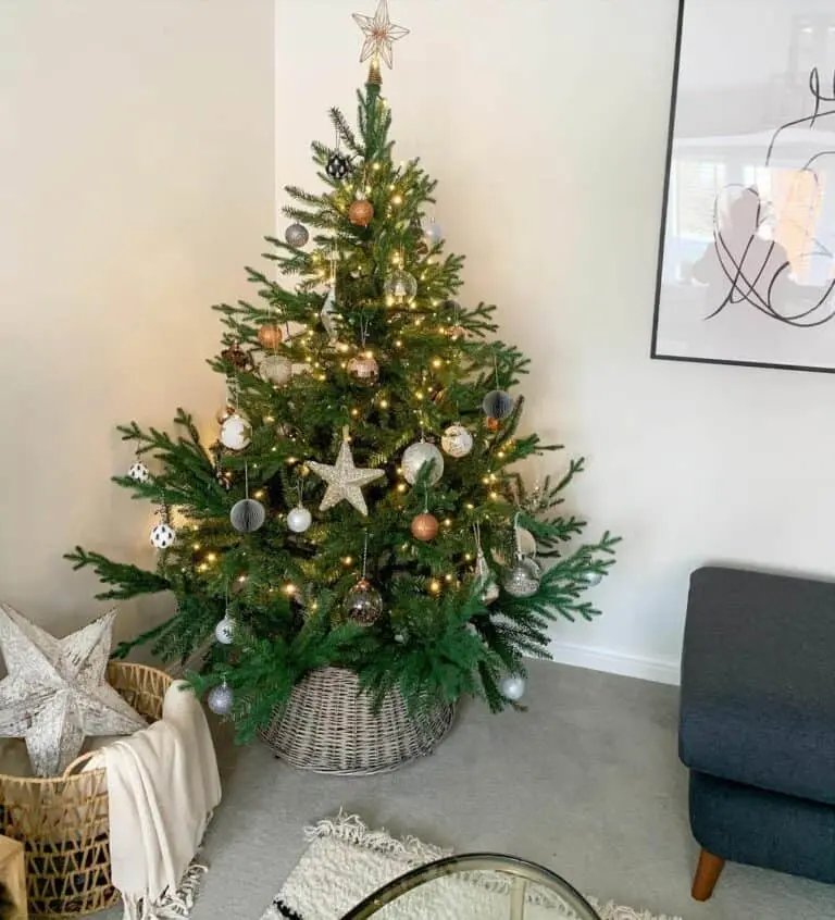 Small Wicker Tree