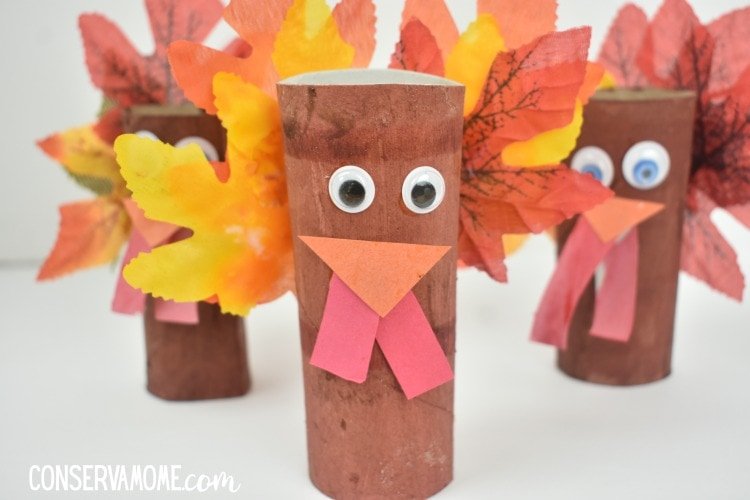 Toilet Paper Turkey