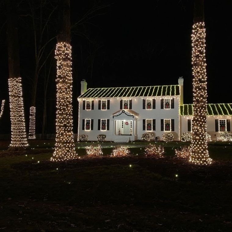 Tree Trunk Lights