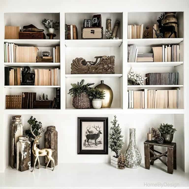 White Bookcase Display