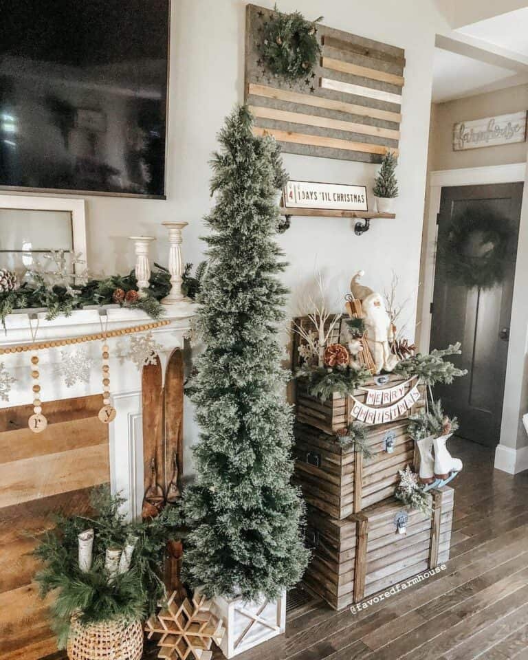 White Boxed Tree