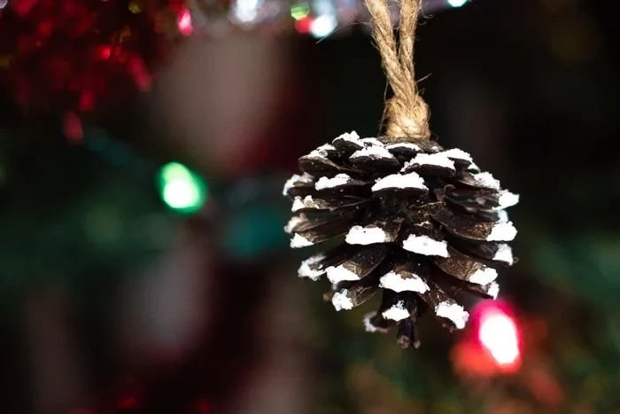 White-Painted Pinecones