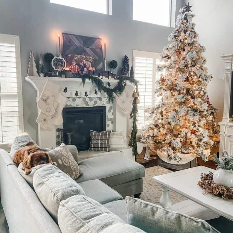 White Tree Grey Box