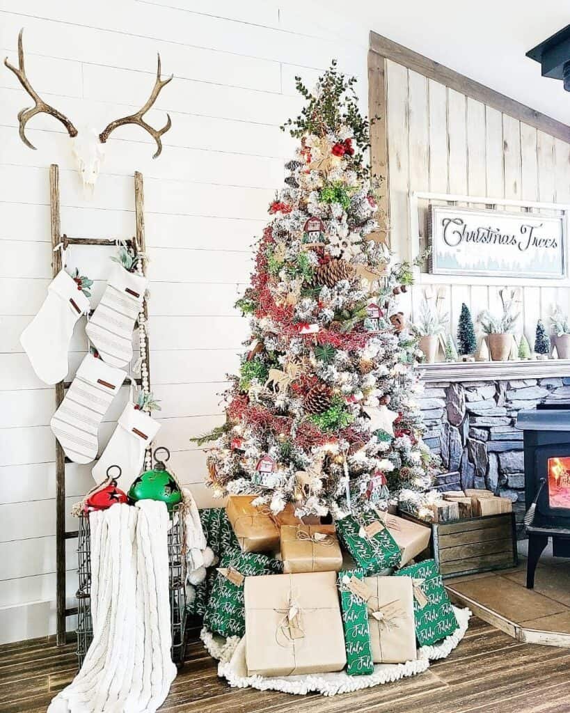 Antler Ladder Display