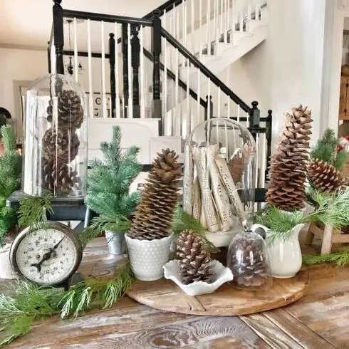 Pine Cone Displays