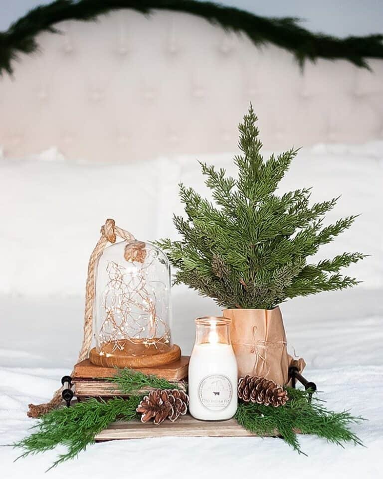 Portable Tray Centerpiece