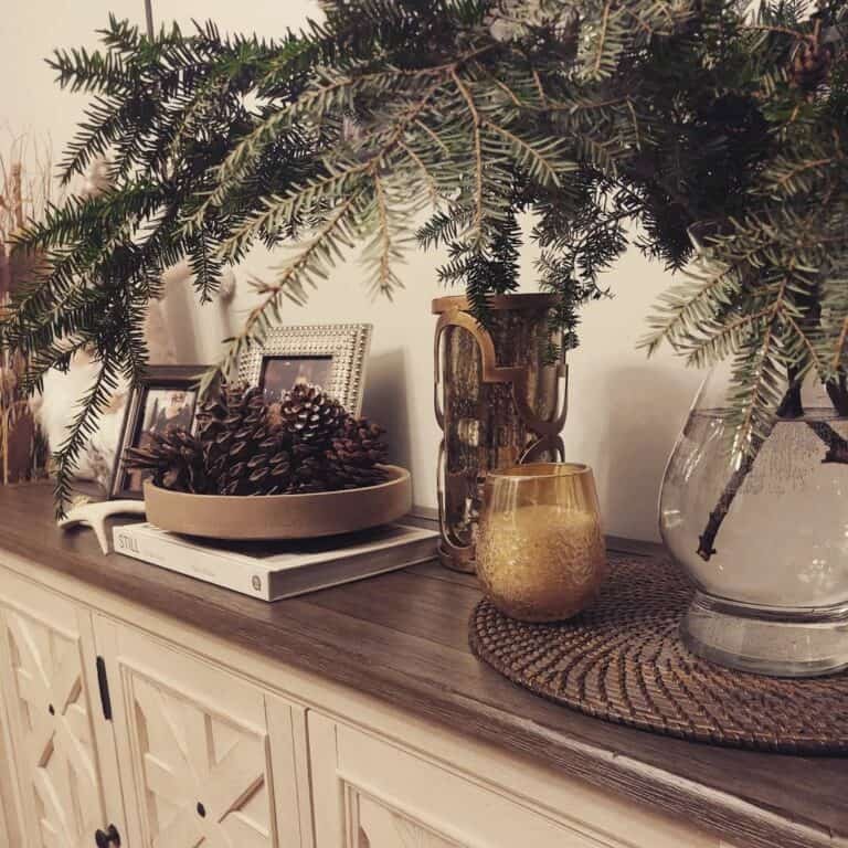 Winter Botanical Displays