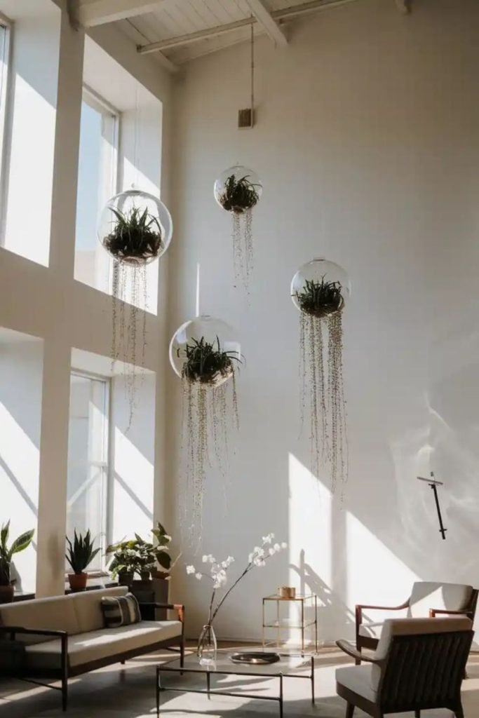 Hanging Glass Terrariums
