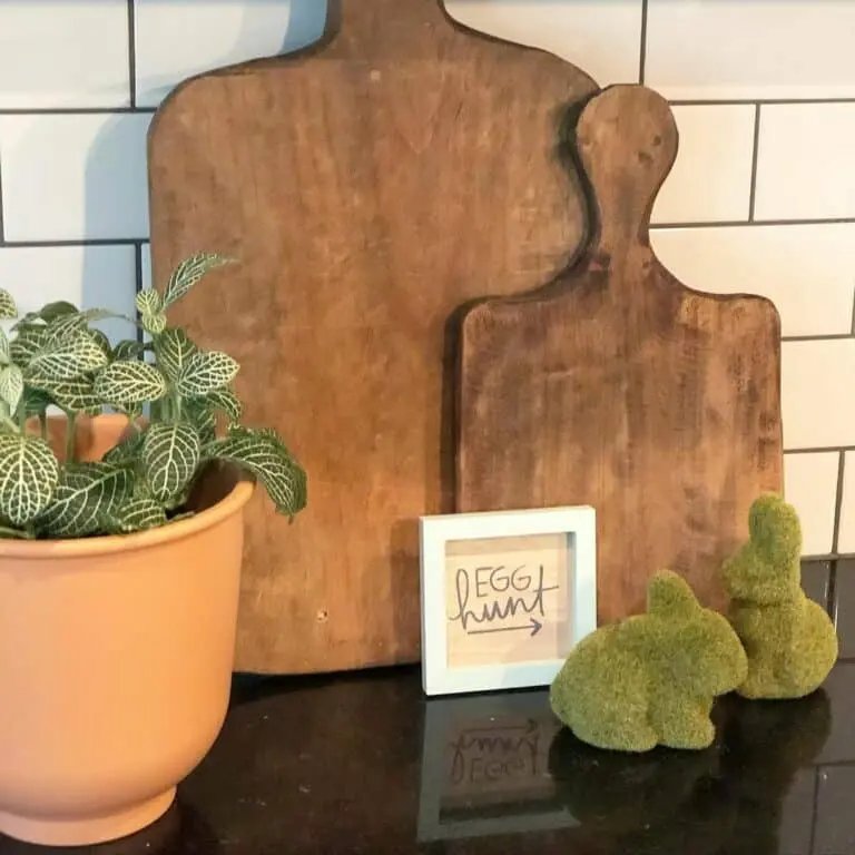 Black Countertop Moss Rabbits