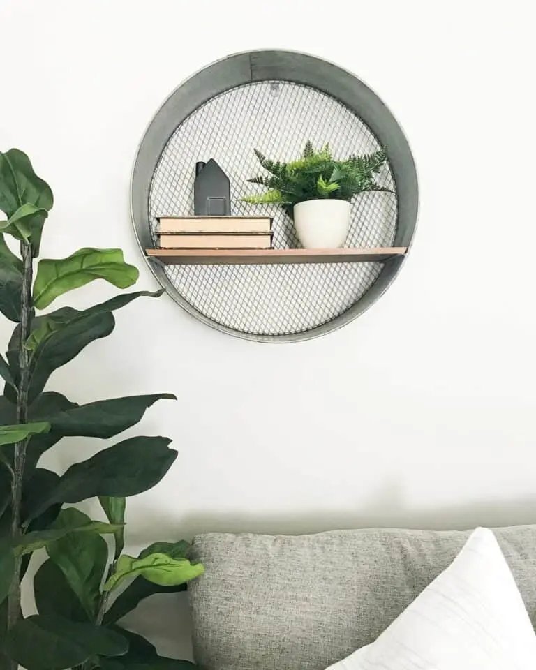 Circle Wall Shelf
