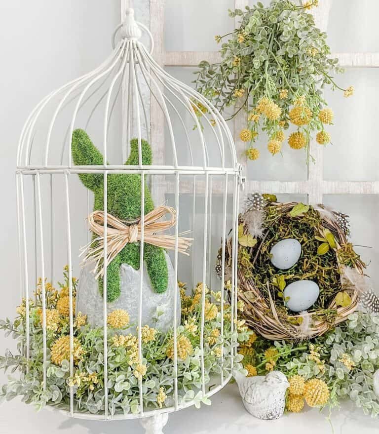 Farmhouse Bird Cage