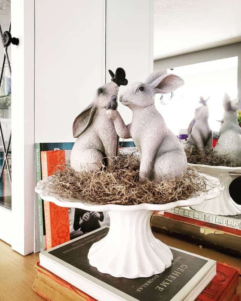 Gray Rabbit Display