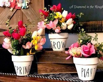 Painted Terracotta Planters