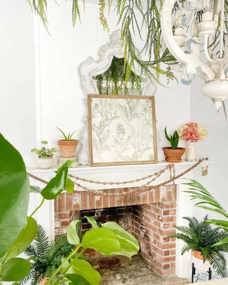 Potted Plants Mantel