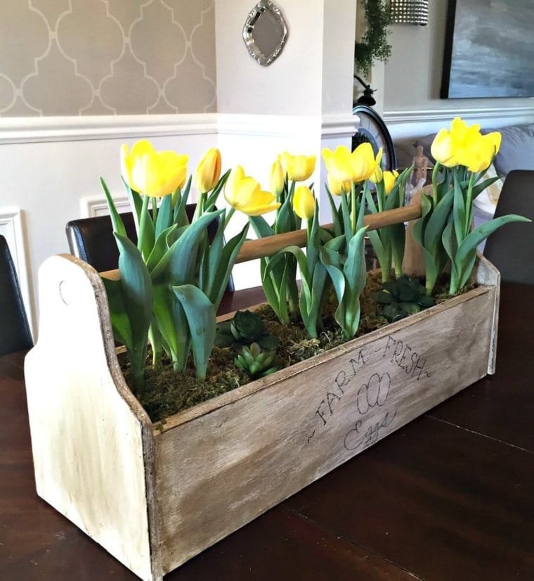 Tulip Egg Crate