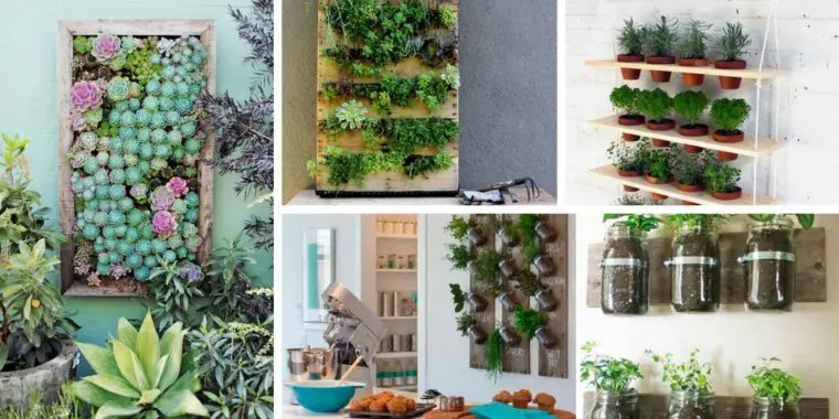 Wall-Mounted Planters