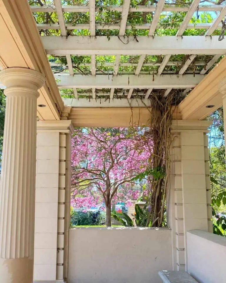 Beige Ivy Pergola