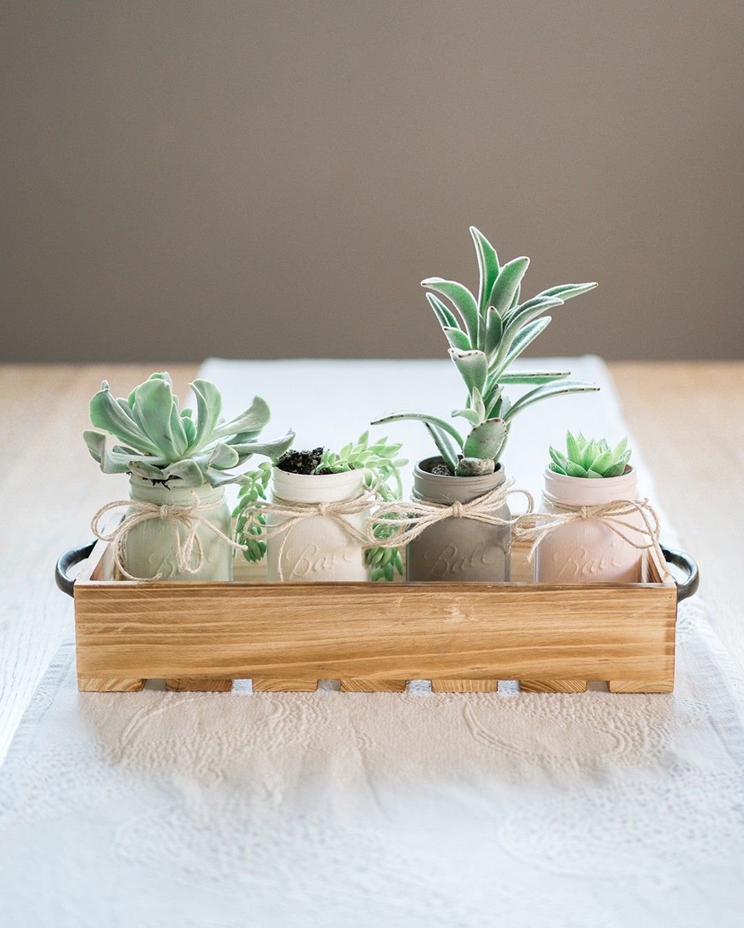 Delicate Rustic Succulents