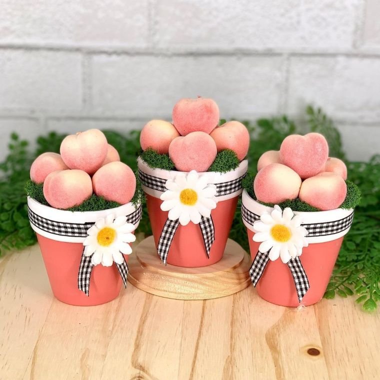 Peach Potted Decor