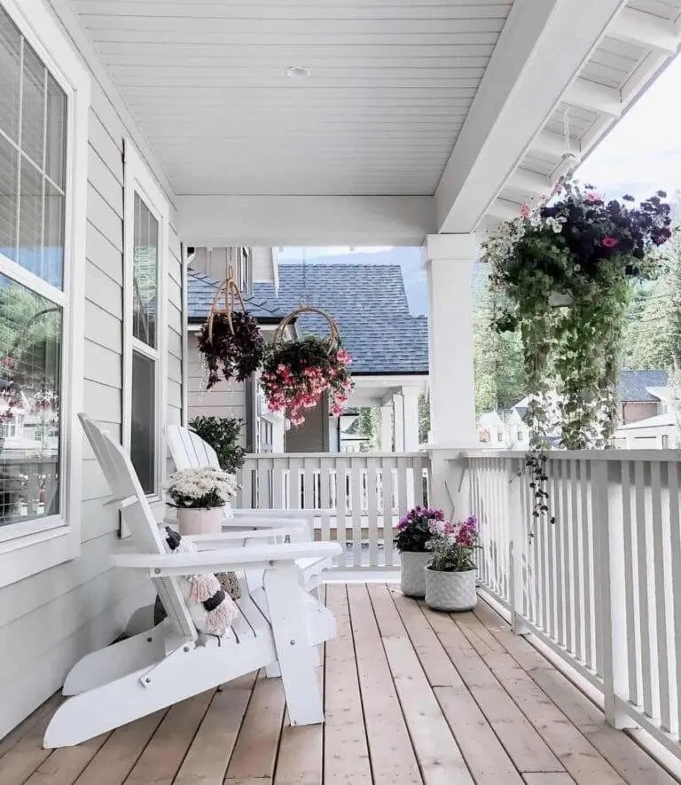 Porch Hanging Plants