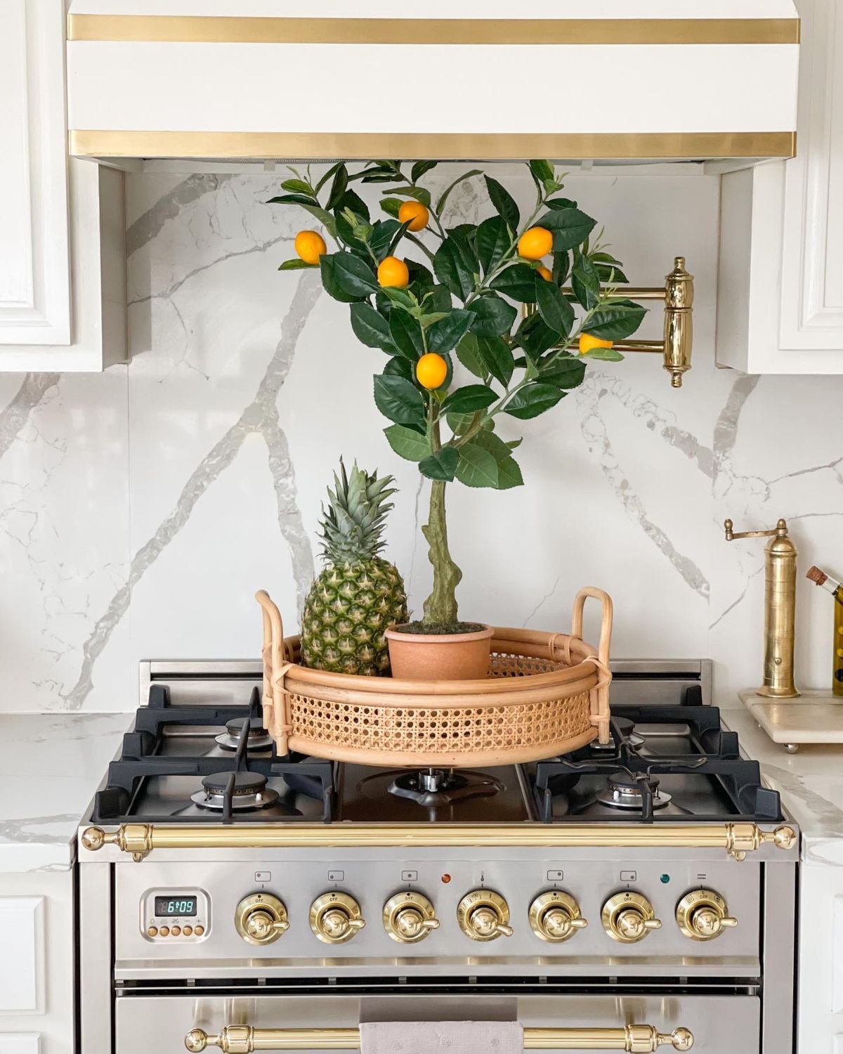 Potted Fruit Tree Display