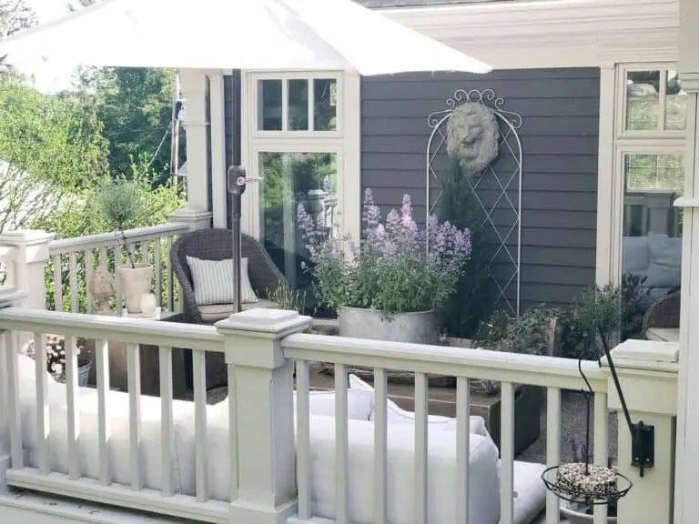Potted Plants Under Umbrella