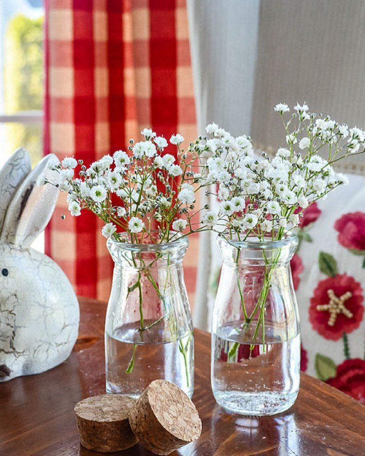 Simple Glass Vases