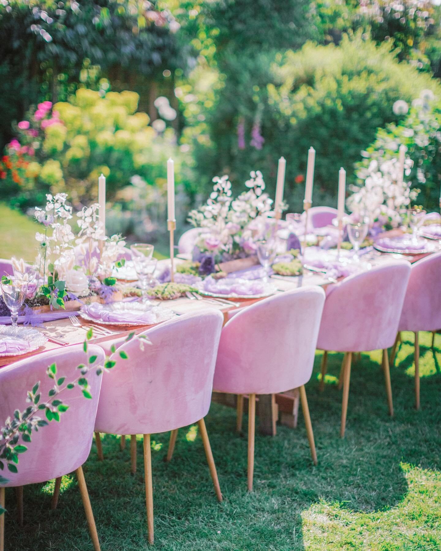 Soft Pink Purple Palette