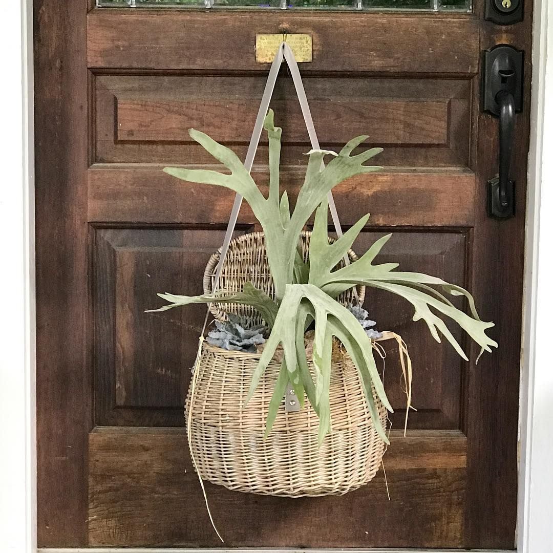 Wicker Front Door Basket