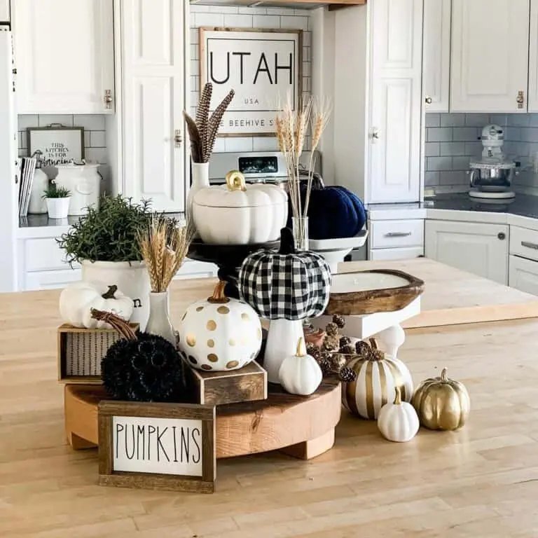 Black and white pumpkins with dried grasses