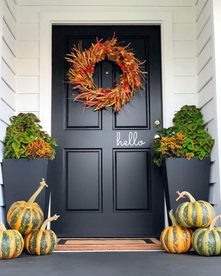 Black door with striped pumpkins