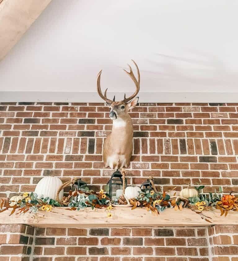 Brick Wall with Deer Display