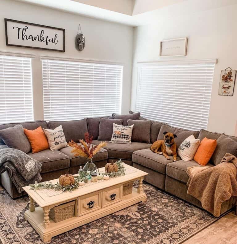 Brown Couch with Graphic Cushions